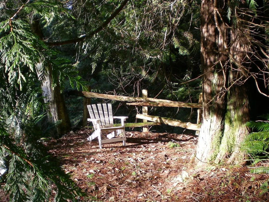 Davis Brook Retreat Bed & Breakfast Sechelt